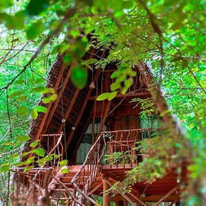 Tree House Ambasewana Resort Habarana